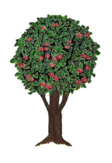 Sanctum Counselling & Psychotherapy